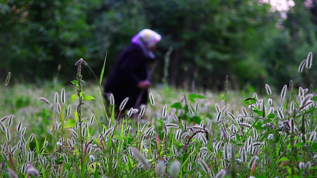 Gelin Fotoğrafı