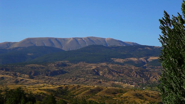 Gelin fotoğrafı