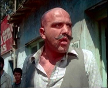 Şark Bülbülü fotoğrafı