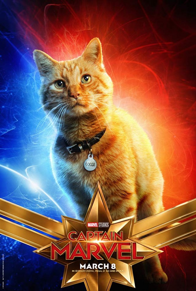 Captain Marvel Fotoğrafları 12