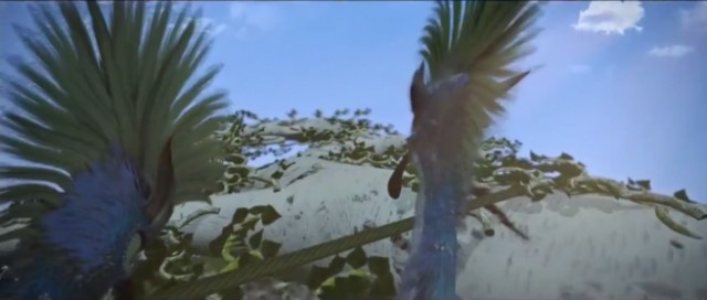 Birds Like Us Fotoğrafı