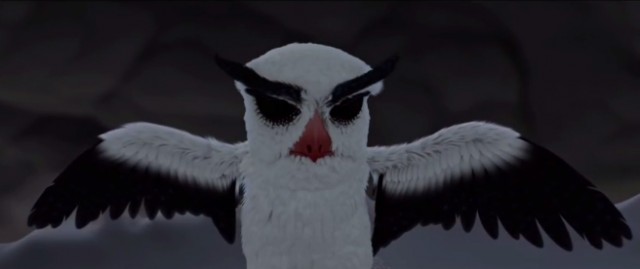 Birds Like Us Fotoğrafı