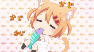 Nyanko Days Fotoğrafı
