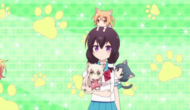 Nyanko Days Fotoğrafları 19