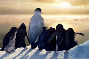 Neşeli Ayaklar Fotoğrafı