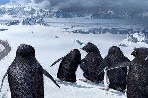 Neşeli Ayaklar Fotoğrafı