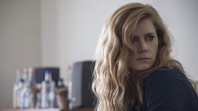 Hillbilly Elegy Fotoğrafı