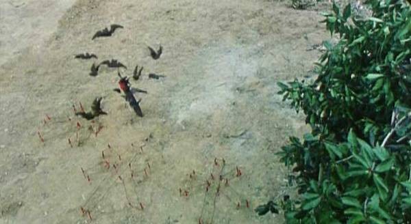 Vampire Vs. Vampire Fotoğrafı