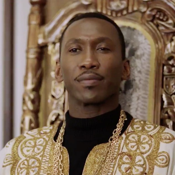 Yeşil Rehber Fotoğrafı