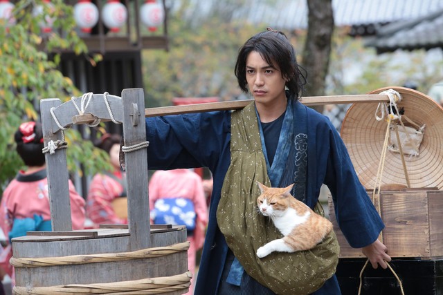 Neko Ninja Fotoğrafı