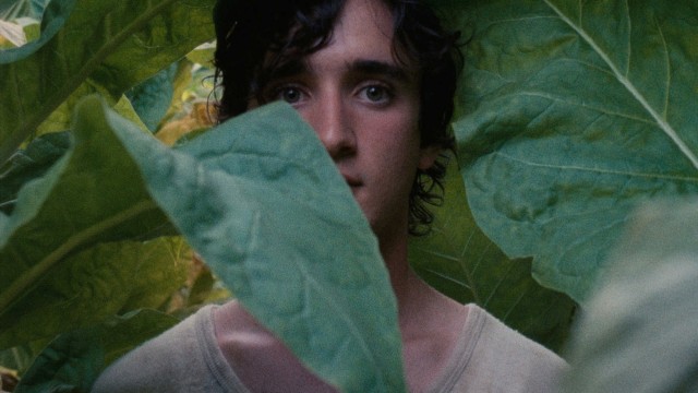 Mutlu Lazzaro fotoğrafı