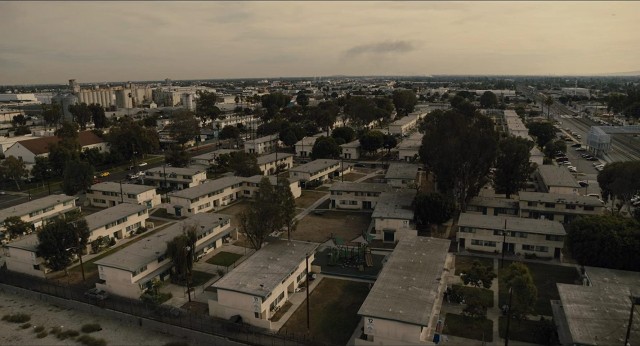 The Tax Collector Fotoğrafı