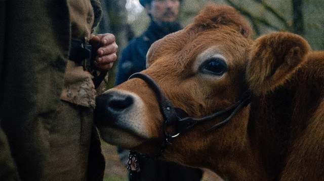 First Cow Fotoğrafları 34