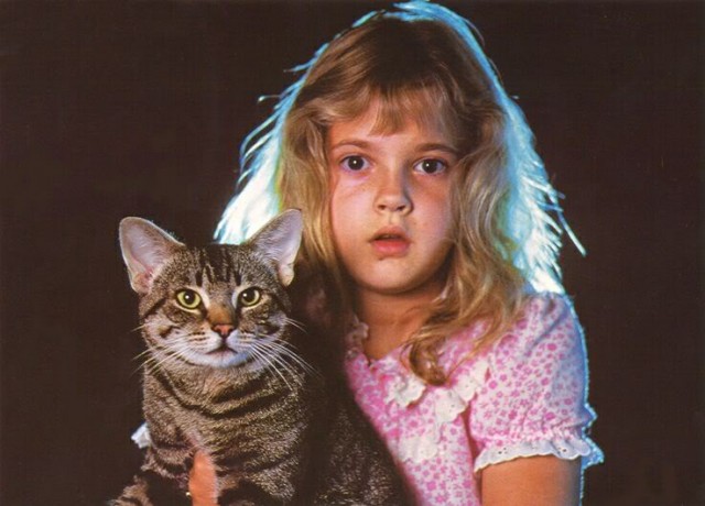Kedi Gözü Fotoğrafı