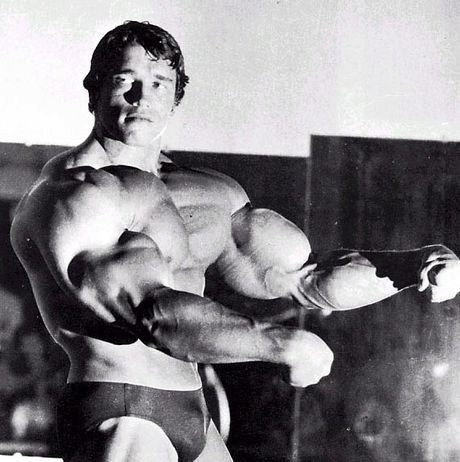 Arnold Schwarzenegger: Hollywood Hero Fotoğrafları 1