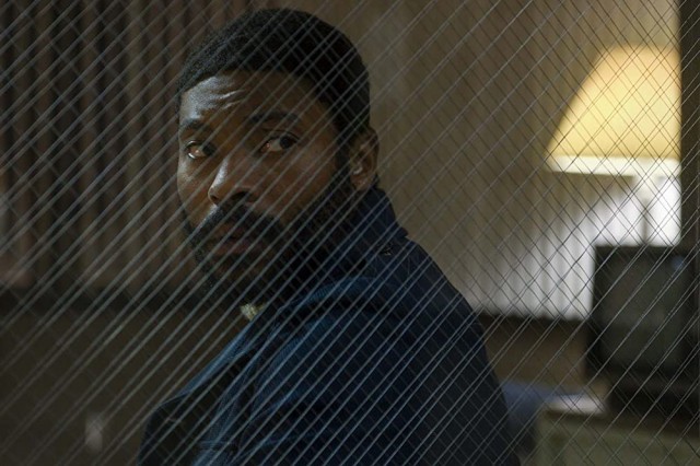 I'm Your Woman Fotoğrafı