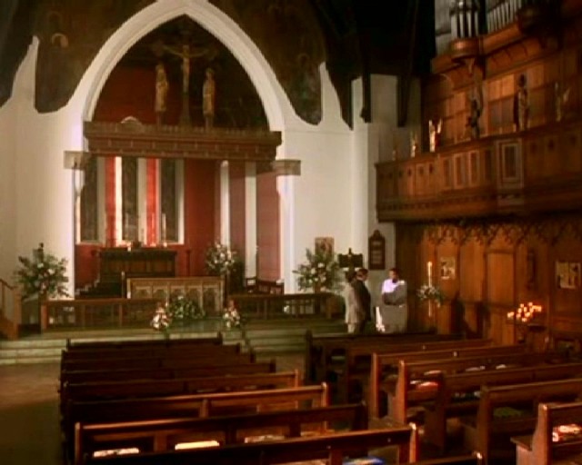 Timsah Gözyaşları Fotoğrafı