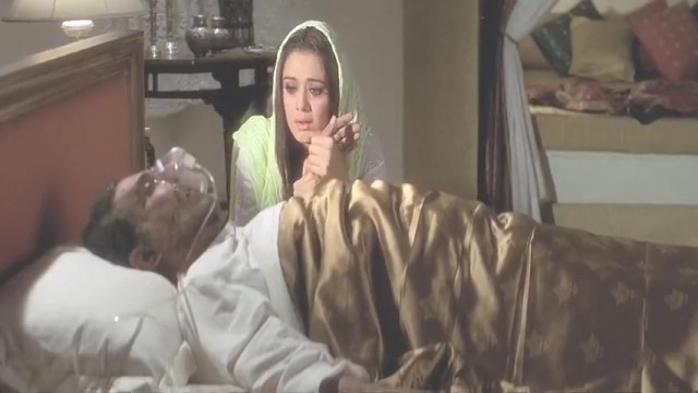 Veer Zaara Fotoğrafı