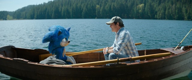 Kirpi Sonic 2 fotoğrafı