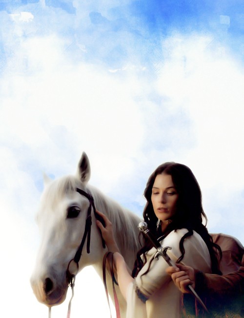 Legend Of The Seeker Fotoğrafı