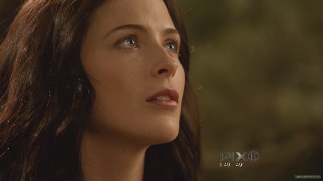 Legend Of The Seeker Fotoğrafı