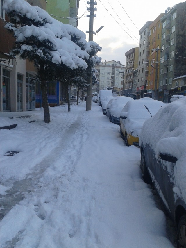 Alacakaranlık Efsanesi: Yeni Ay fotoğrafı