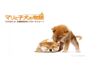 A Tale Of Mari And Three Puppies fotoğrafı