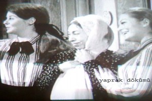 Yaprak Dökümü Fotoğrafları 1