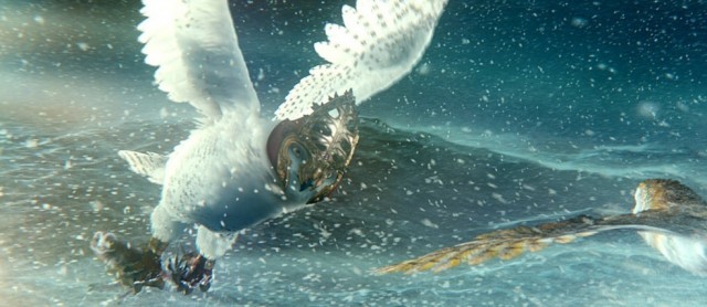 Baykuş Krallığı Efsanesi Fotoğrafı