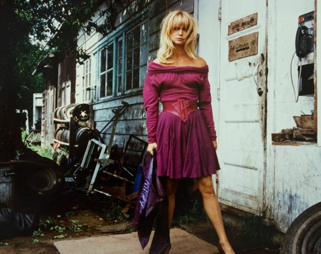 Teldeki Kuş Fotoğrafı