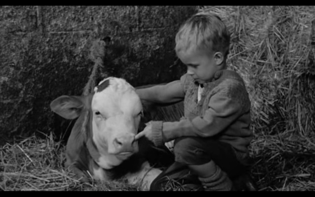 Le vieil homme et l'enfant Fotoğrafları 2