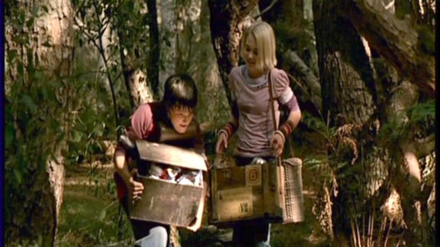 Terabithia Köprüsü Fotoğrafları 10