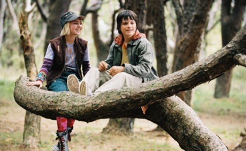 Terabithia Köprüsü Fotoğrafı