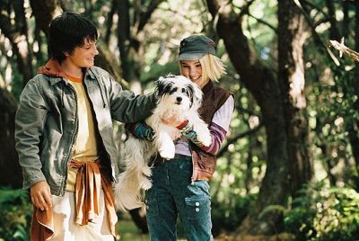 Terabithia Köprüsü Fotoğrafları 39