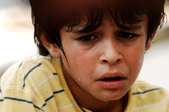 Serçelerin Şarkısı Fotoğrafı