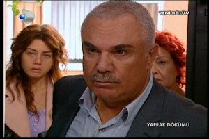 Yaprak Dökümü Fotoğrafı