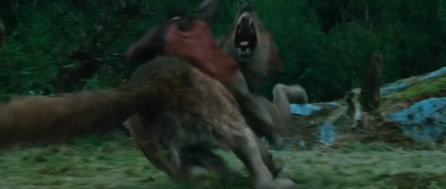 Alacakaranlık Efsanesi: Tutulma Fotoğrafı