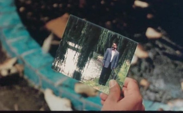 Söğüt Ağacı Fotoğrafı