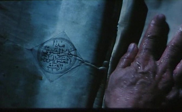 Söğüt Ağacı Fotoğrafı