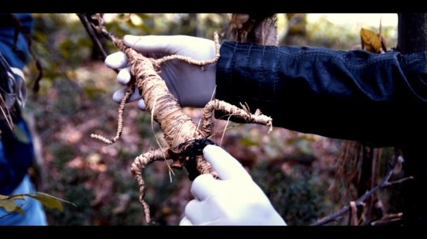 Cin Geçidi Fotoğrafı