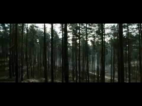 Robin Hood Fotoğrafı
