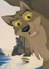 Balto Fotoğrafı