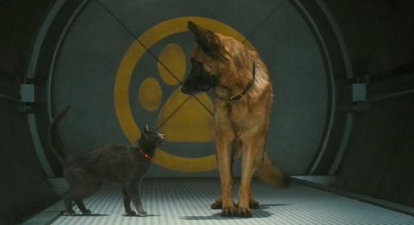 Kediler ve Köpekler Kitty Galore'un İntikamı Fotoğrafı