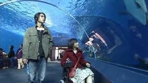 Bir Litre Gözyaşı Fotoğrafı