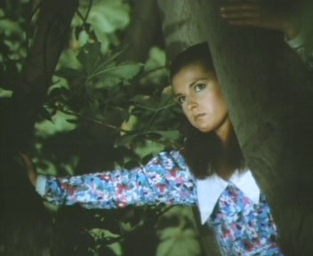 Çalıkuşu Fotoğrafı