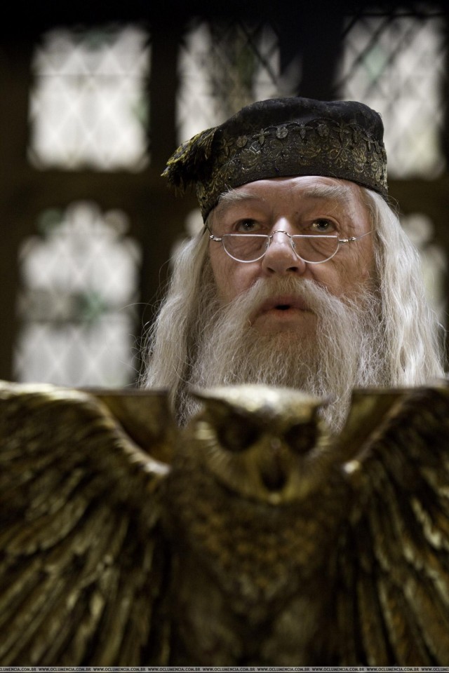 Harry Potter ve Zümrüdüanka Yoldaşlığı Fotoğrafı