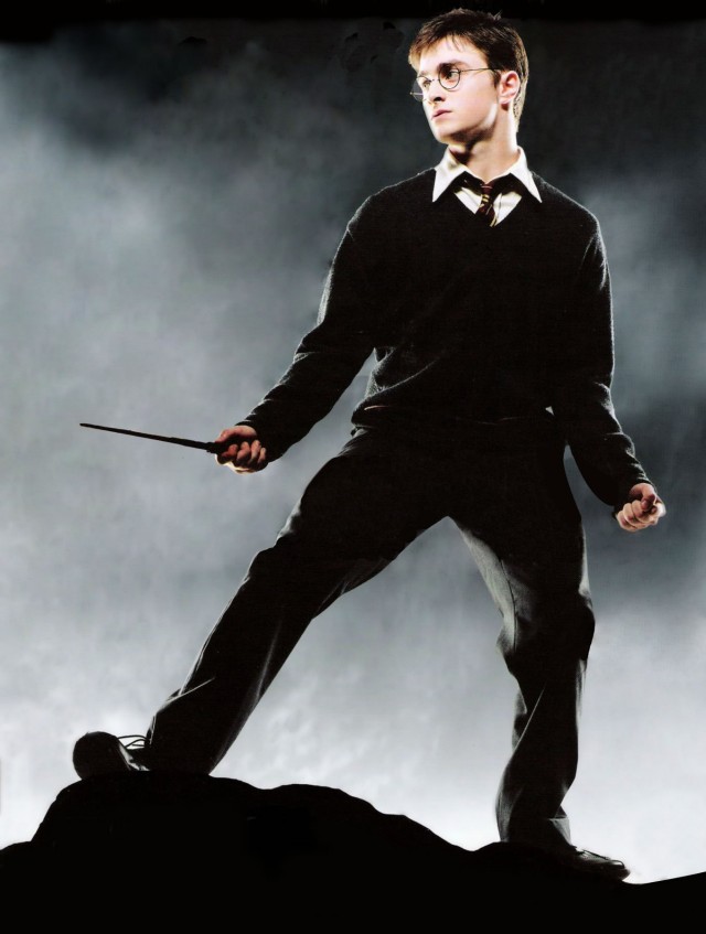 Harry Potter ve Zümrüdüanka Yoldaşlığı Fotoğrafı