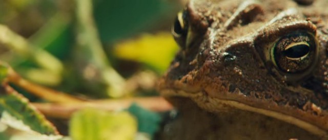 Tepedeki Mezarlık Fotoğrafı