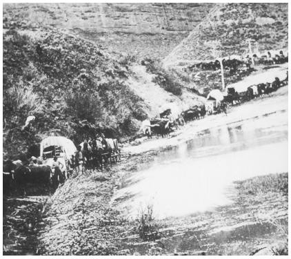 Marşandiz Fotoğrafı