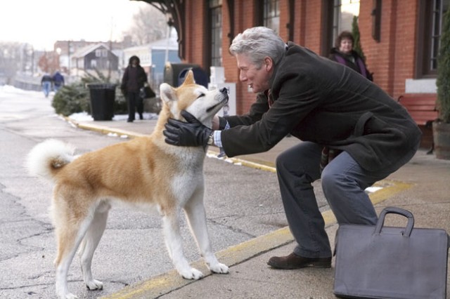 Hachi: Bir Köpeğin Hikayesi Fotoğrafları 12